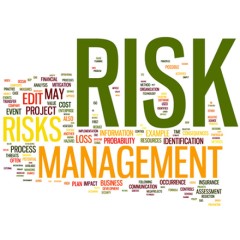 Risk management in construction projects, a case study