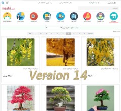 طراحی سایت حرفه‌ای شبیه مسبی | پورتال Masbi برای کسب درآمد اینترنتی