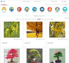 طراحی سایت فروشگاهی بازاریابی، ورژن 14