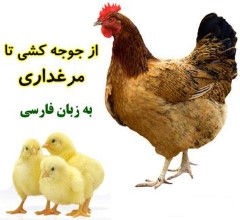 آموزش پرورش مرغ گوشتی و تخم گذار