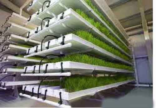 آموزش جامع تولیدعلوفه به روش هیدروپونیک(آبکشت)