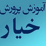 دانلود مجموعه کامل و علمی گلخانه و پرورش خیار گلخانه ای/جدید