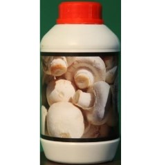 مکمل تقویتی پرورش قارچ صدفی - دکمه ای  با تکنولوژی نانو