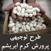 طرح توجیهی فنی ، مالی و اقتصادی  پرورش کرم ابریشـم
