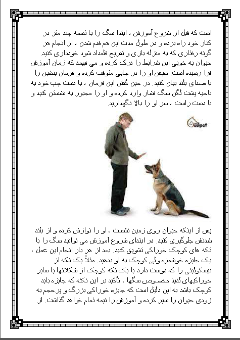 آموزش حرفه ای تربیت سگ